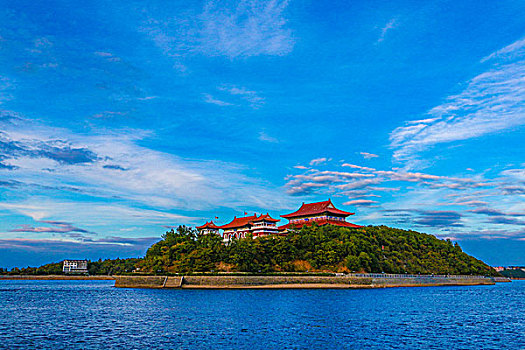 soi lo bach thu