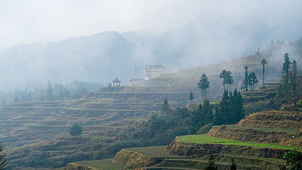 tỷ lệ bóng đá số