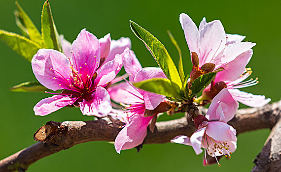 thống kê xsmb hom nay