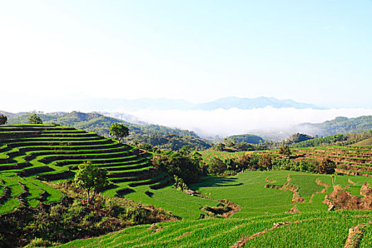12bet vietnam
