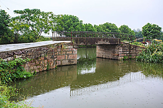 tai mic21