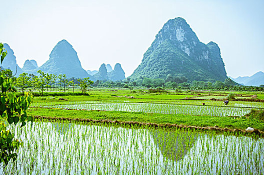 tải game đánh bài beme