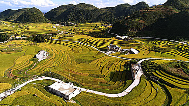south coast casino